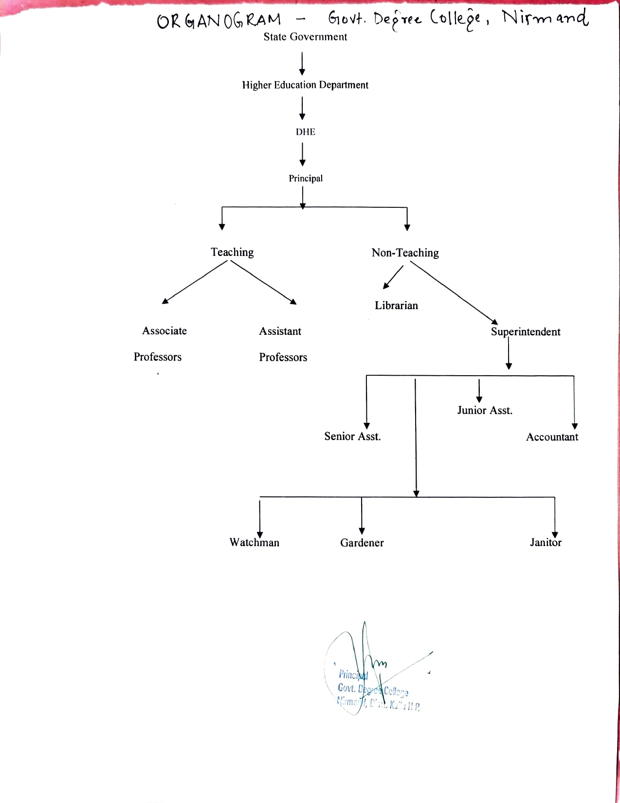 Organisation Chart